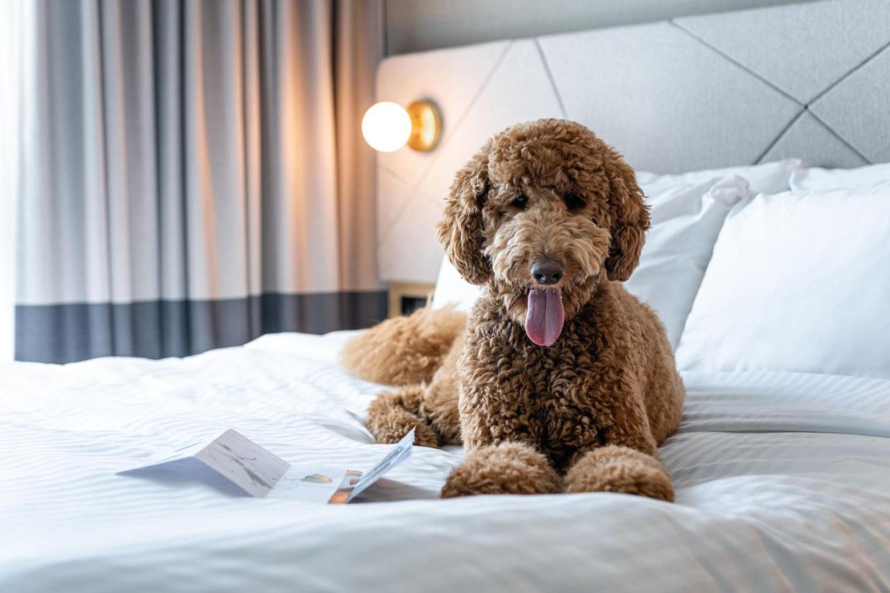 Residence Inn By Marriott スラウ エクステリア 写真
