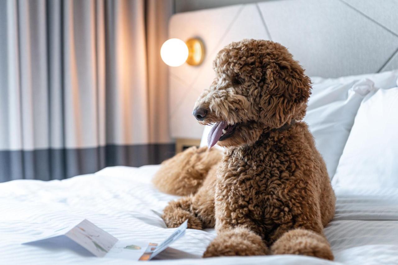 Residence Inn By Marriott スラウ エクステリア 写真